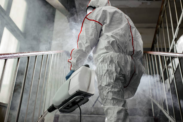 Mold Documentation for Insurance Claims in Ukiah, CA